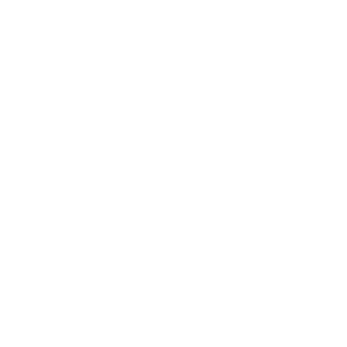 go to Introduction to Beavers page