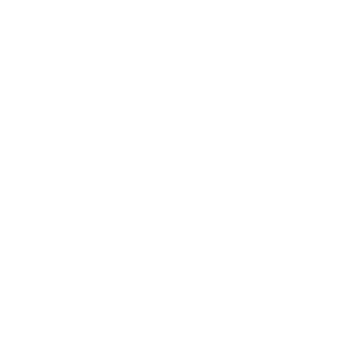 go to Introduction to Scouts page